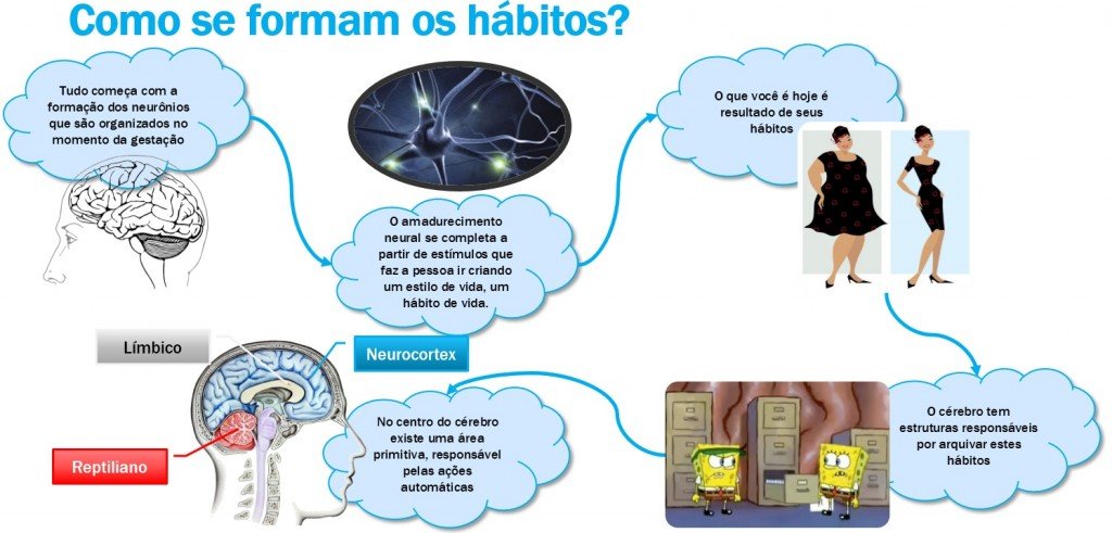 Como se Formam os Hábitos